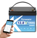 Акумуляторна батарея LiFePO4 Kepworth 12V 100Ah mini BT (12.8V 100Ah 1280Wh) з Bluetooth