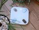 Floor scales Magio MG-831