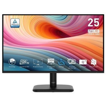 MSI 24.5" Pro MP251L E2 IPS Black 120Hz Monitor